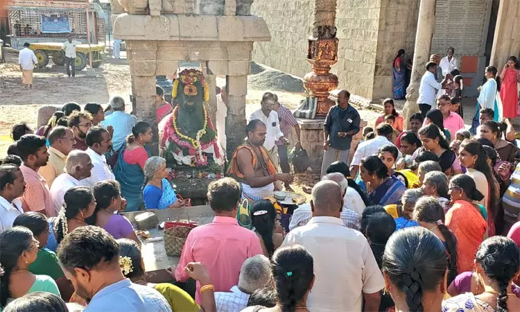 திருவாரூர் தியாகராஜர் கோவிலில் பிரதோஷ வழிபாடு- திரளான பக்தர்கள் தரிசனம்