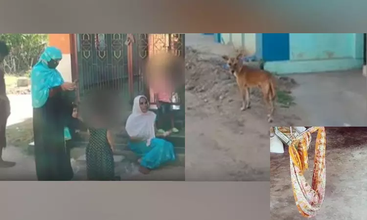 திருவாரூரில் பச்சிளம் குழந்தையை கவ்விச்சென்ற தெருநாய் - அதிர்ச்சி சம்பவம்