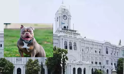 ‘ஆக்ரோஷமான தன்மை கொண்ட நாய்களை வளர்க்கக்கூடாது’ - சென்னை மாநகராட்சி எச்சரிக்கை ‘ஆக்ரோஷமான தன்மை கொண்ட நாய்களை வளர்க்கக்கூடாது’ - சென்னை மாநகராட்சி எச்சரிக்கை