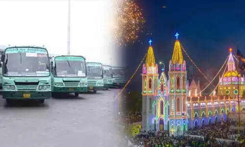 வேளாங்கண்ணி பேராலய திருவிழா: தமிழகம் முழுவதும் சிறப்பு பஸ்கள் இயக்கம் வேளாங்கண்ணி பேராலய திருவிழா: தமிழகம் முழுவதும் சிறப்பு பஸ்கள் இயக்கம்