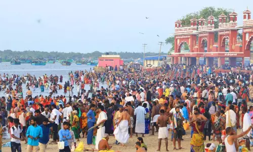 ஆவணி மாத அமாவாசையையொட்டி ராமேசுவரம் அக்னி தீர்த்த கடலில் புனித நீராட குவிந்த பக்தர்கள் ஆவணி மாத அமாவாசையையொட்டி ராமேசுவரம் அக்னி தீர்த்த கடலில் புனித நீராட குவிந்த பக்தர்கள்