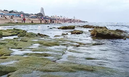 திருச்செந்தூரில் கடல் உள்வாங்கியது.. அச்சமின்றி புனித நீராடிய பக்தர்கள் திருச்செந்தூரில் கடல் உள்வாங்கியது.. அச்சமின்றி புனித நீராடிய பக்தர்கள்