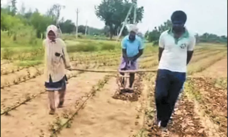 மகன், மகளை ஏரில் பூட்டி உழுத விவசாயி