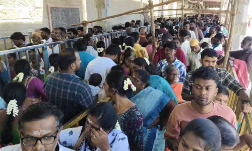 விடுமுறை தினம்.. திருச்செந்தூர் முருகன் கோவிலில் திரளான பக்தர்கள் சாமி தரிசனம்