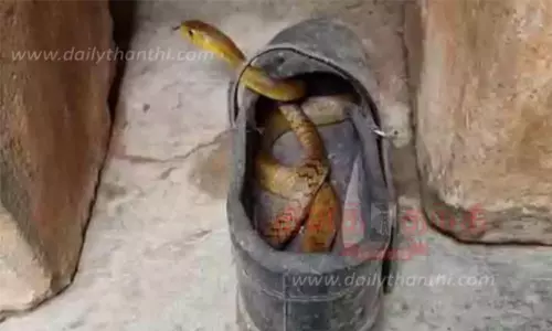 ஷூவுக்குள் பதுங்கியிருந்து பள்ளி மாணவனை கடித்த  பாம்பு .. மருத்துவமனையில் தீவிர சிகிச்சை