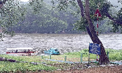 தமிழகத்திற்கு 36.76 டி.எம்.சி நீர் வழங்க வலியுறுத்தல்