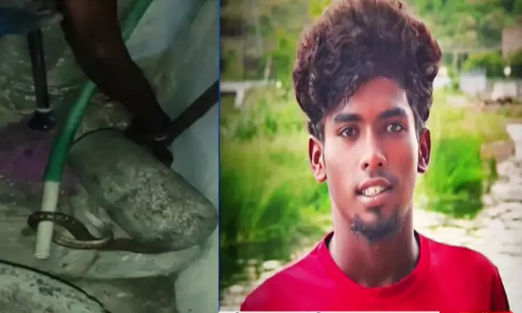 நல்ல பாம்பை விளையாட்டாக பிடிக்க முயன்ற இளைஞர்.. அடுத்து நடந்த விபரீதம்