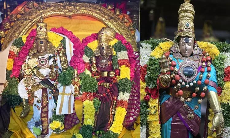 மதுரை ஆவணி மூலத்திருவிழா: மாணிக்கம் விற்ற லீலை அலங்காரத்தில் சுந்தரேஸ்வரர்