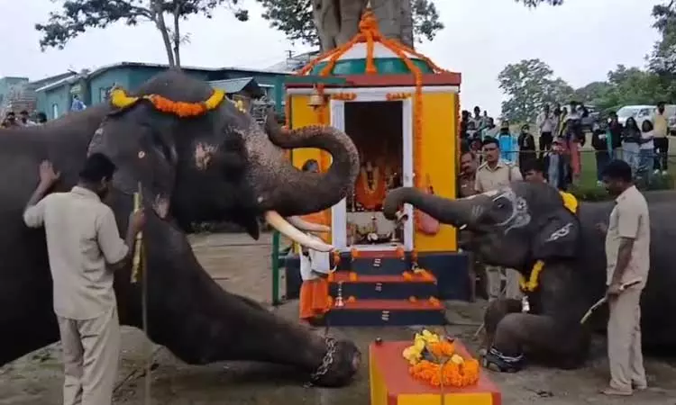 சதுர்த்தி விழா: நீலகிரி தெப்பக்காடு முகாமில் விநாயகரை வழிபட்ட யானைகள்