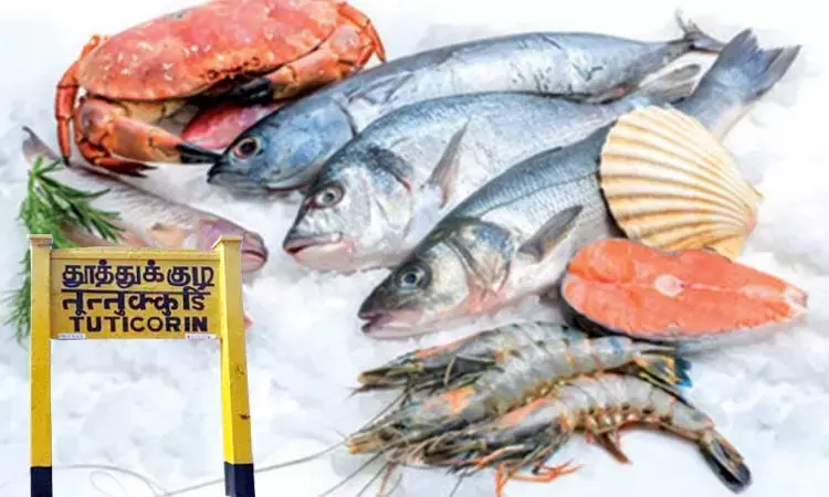 50 சதவீதம் வரிவிதிப்பு எதிரொலி: தூத்துக்குடியில்... ... இன்றைய முக்கிய செய்திகள்.. சில வரிகளில்.. 29-08-2025