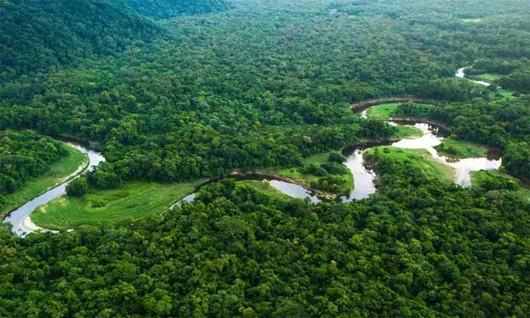 அமேசான் காட்டுப் பகுதியில் பாலம் கட்ட திட்டமிட்ட... ... இன்றைய முக்கிய செய்திகள்.. சில வரிகளில்.. 30-08-2025