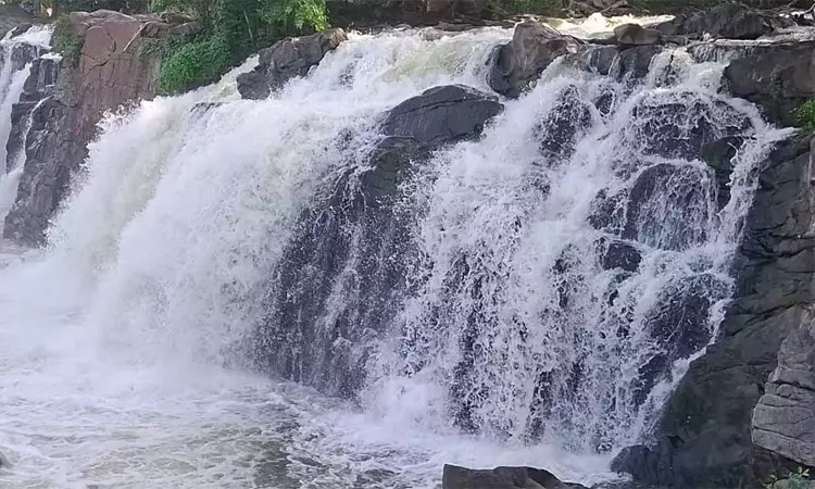 ஒகேனக்கல்லுக்கு நீர்வரத்து 14 ஆயிரம் கனஅடியாக அதிகரிப்பு