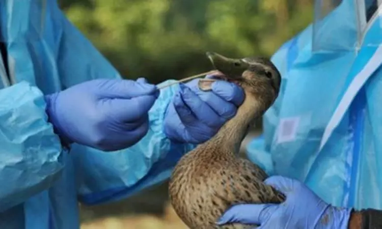 டெல்லியில் பறவைக்காய்ச்சல் பரவுகிறதா..? - அச்சத்தில் மக்கள்