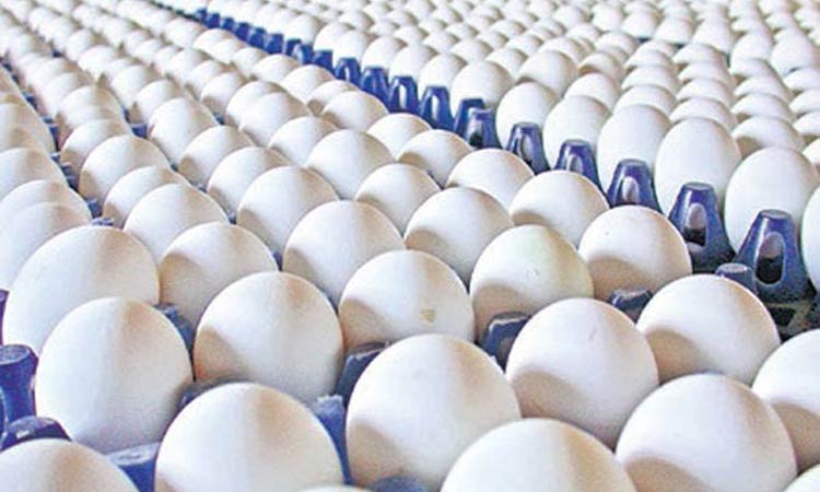 அரசு பள்ளியில் மாணவர்களுக்கு அழுகிய முட்டை வழங்கப்பட்டதா? - அதிகாரிகள் விசாரணை