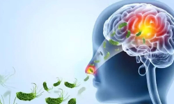 அமீபிக் மூளை காய்ச்சல் - 2 பேர் உயிரிழப்பு