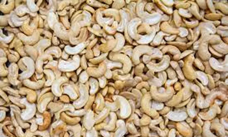 ரூ.1,000 கோடி அளவுக்கு முந்திரி பருப்பு ஏற்றுமதி... ... இன்றைய முக்கிய செய்திகள்.. சில வரிகளில்.. 1-09-2025