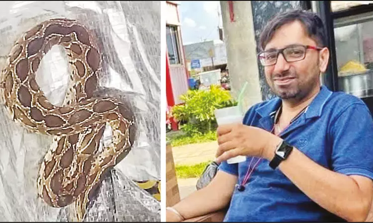 செருப்பில் பதுங்கியிருந்த கண்ணாடி விரியன் பாம்பு கடித்து கம்ப்யூட்டர் என்ஜினீயர் உயிரிழப்பு செருப்பில் பதுங்கியிருந்த கண்ணாடி விரியன் பாம்பு கடித்து கம்ப்யூட்டர் என்ஜினீயர் உயிரிழப்பு