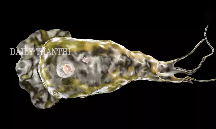 தமிழகத்தில் உள்ள நீச்சல் குளங்களை ஆய்வு செய்ய   பொது சுகாதாரத்துறை உத்தரவு