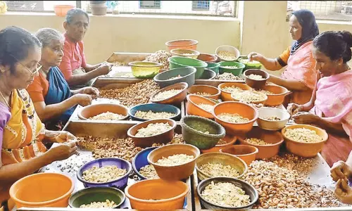 அமெரிக்கா 50 சதவீத வரி: ரூ.1,000 கோடி அளவுக்கு முந்திரி பருப்பு ஏற்றுமதி பாதிப்பு