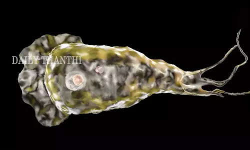 தமிழகத்தில் உள்ள நீச்சல் குளங்களை ஆய்வு செய்ய   பொது சுகாதாரத்துறை உத்தரவு