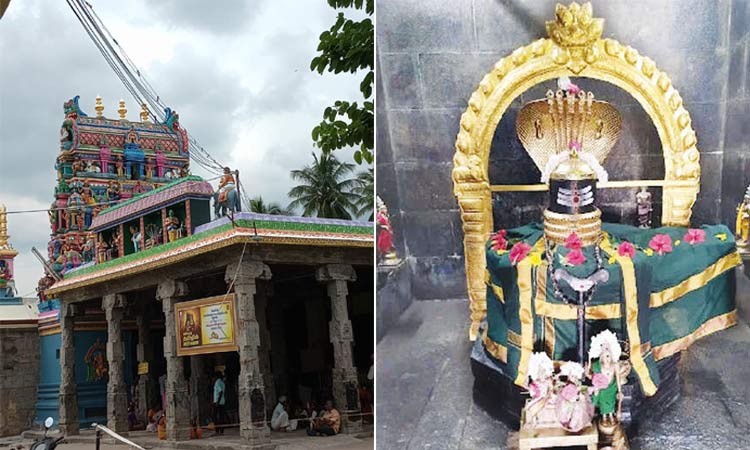 சேலம் சுகவனேஸ்வரர் கோவில்