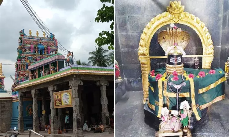 சேலம் சுகவனேஸ்வரர் கோவில் சேலம் சுகவனேஸ்வரர் கோவில்