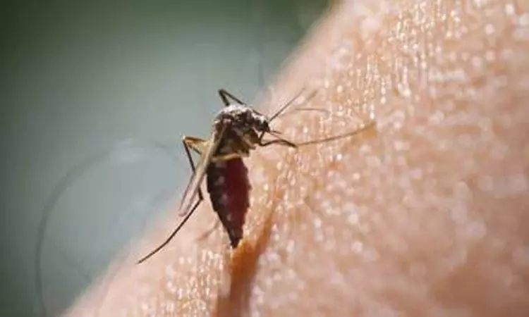 கடந்த ஆண்டை விட மலேரியா, டெங்கு காய்ச்சல் பாதிப்பு அதிகரிப்பு - மும்பை மாநகராட்சி