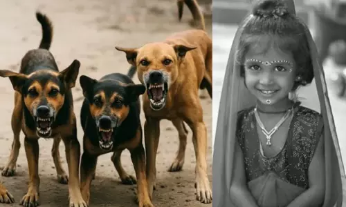 நாய் குறுக்கே வந்ததால் ஏற்பட்ட விபத்து.. பைக்கில் சென்ற சிறுமி பலியான சோகம்