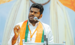 தமிழக சட்டசபை தேர்தலில் அண்ணாமலை போட்டியில்லை?