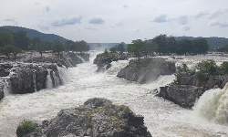 ஒகேனக்கல் காவிரி ஆற்றில் பரிசல் மட்டும் இயக்க அனுமதி