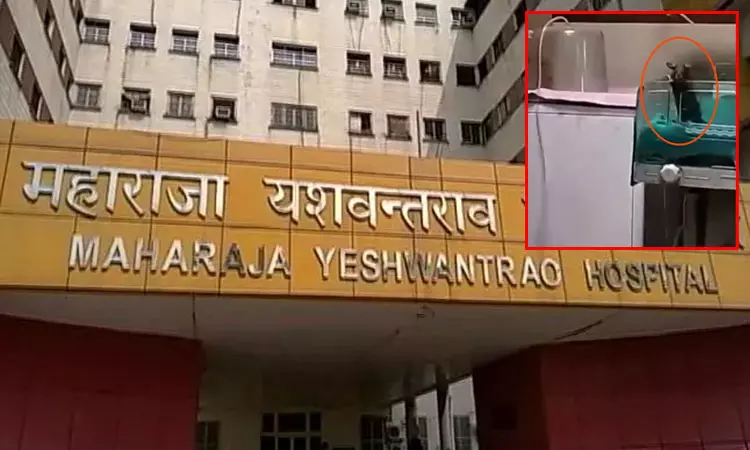 மத்திய பிரதேசம்:  மருத்துவமனையில் எலி கடித்த 2 குழந்தைகளில் ஒரு குழந்தை பலி