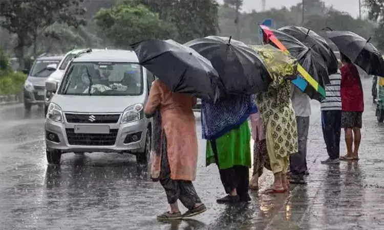 4 மாவட்டங்களில் இரவு 7 மணி வரை மழைக்கு வாய்ப்பு 4 மாவட்டங்களில் இரவு 7 மணி வரை மழைக்கு வாய்ப்பு