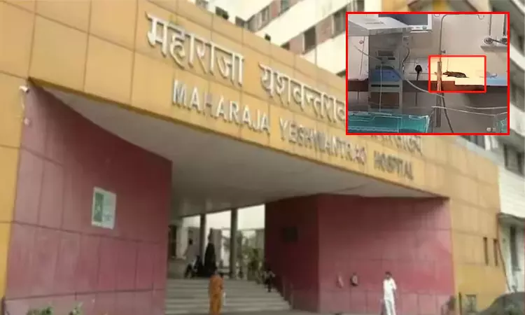 எலிகள் கடித்து ஐ.சி.யு.வில் 2 குழந்தைகள் பலியான விவகாரம்; 3 நாட்களுக்குள் அறிக்கை அளிக்க கலெக்டருக்கு நோட்டீஸ்