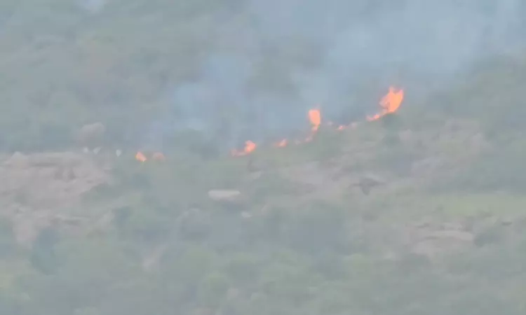 திருவண்ணாமலை: தீபமலையில் தீ விபத்து திருவண்ணாமலை: தீபமலையில் தீ விபத்து