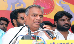 தவெக பொதுச்செயலர் என்.ஆனந்த் மீது வழக்குப் பதிவு தவெக பொதுச்செயலர் என்.ஆனந்த் மீது வழக்குப் பதிவு