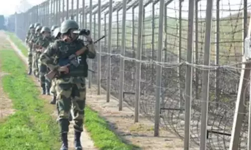 இந்திய எல்லைக்குள் ஊடுருவ முயன்ற பாகிஸ்தானி கைது