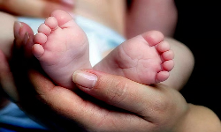 பெண் குழந்தை மீட்பு