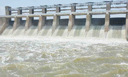 ஒரே குடும்பத்தினர் 4 பேர் தண்ணீரில் குதித்து தற்கொலை முயற்சி