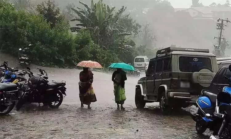 கொடைக்கானலில் கனமழை; பள்ளிகளுக்கு விடுமுறை அறிவிப்பு