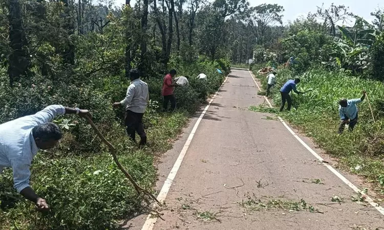 கொல்லிமலை: சாலையை ஆக்கிரமித்த செடி, கொடிகள் அகற்றம்