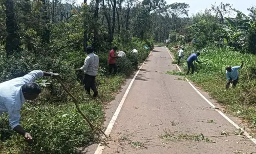 கொல்லிமலை: சாலையை ஆக்கிரமித்த செடி, கொடிகள் அகற்றம்