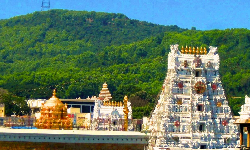 பக்தர்கள் மோசடியில் சிக்க வேண்டாம்  - திருப்பதி தேவஸ்தானம்