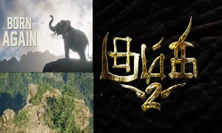 “கும்கி 2” படத்தின் மோஷன் போஸ்டர் வெளியீடு