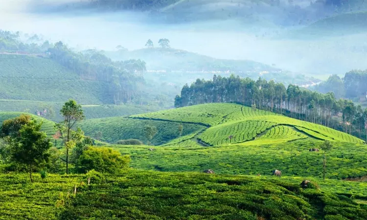 ஆசியாவின் சிறந்த கிராமப்புற சுற்றுலாத் தலம் மூணாறு