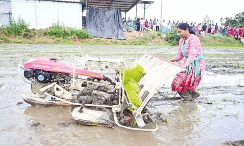நவீன எந்திரம் மூலம் நெல் நடவு செய்த பெண் அதிகாரி நவீன எந்திரம் மூலம் நெல் நடவு செய்த பெண் அதிகாரி