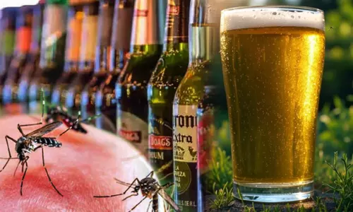 உங்களுக்கு பீர் பிடிக்குமா? அப்படி என்றால் கொசுவுக்கும் உங்களை ரொம்ப பிடிக்கும்..!