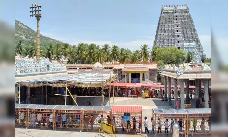திருவண்ணாமலை கோவிலில் பக்தர்கள் கூட்டம் அலைமோதியது- 3 மணி நேரம் காத்திருந்து தரிசனம் திருவண்ணாமலை கோவிலில் பக்தர்கள் கூட்டம் அலைமோதியது- 3 மணி நேரம் காத்திருந்து தரிசனம்
