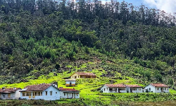 பேரிஜம் ஏரி செல்ல தடை