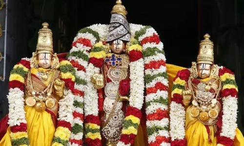 பெருமாளின் வித்தியாசமான தோற்றங்கள்