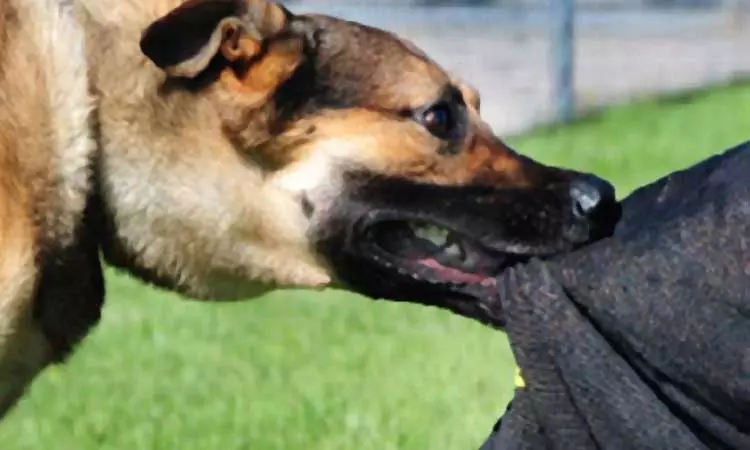 ஓசூரில் நாய் கடித்து மருத்துவமனையில் சிகிச்சை... ... இன்றைய முக்கியச் செய்திகள்.. சில வரிகளில்.. 17-09-2025